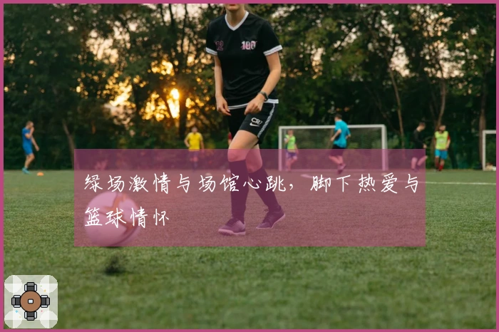 绿场激情与场馆心跳，脚下热爱与篮球情怀