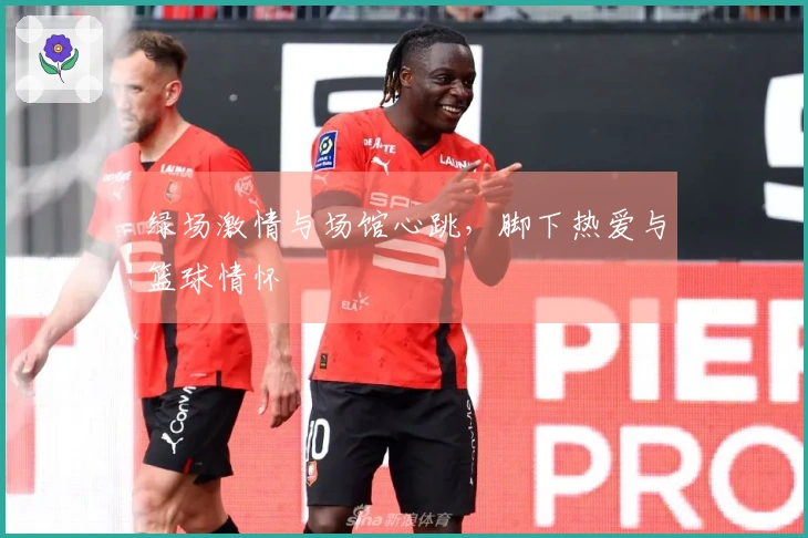 绿场激情与场馆心跳，脚下热爱与篮球情怀